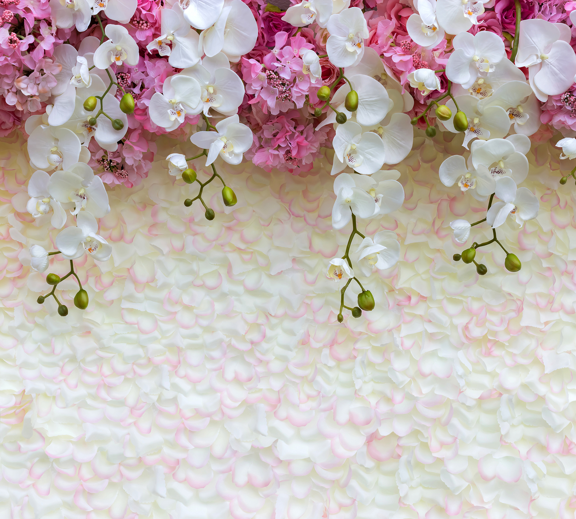 Розовые и белые орхидеи 6206-М