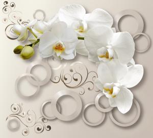 Белая орхидея 6-157nk