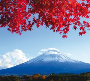 Гора Фудзияма 10253-М