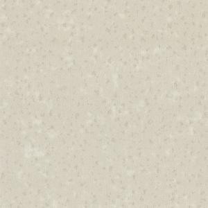 Callisto 4598-2