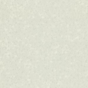 Callisto 4598-3