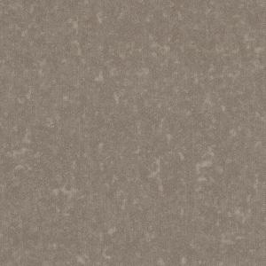 Callisto 4598-6