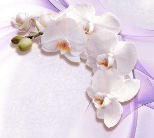 Белая орхидея 6223-ML