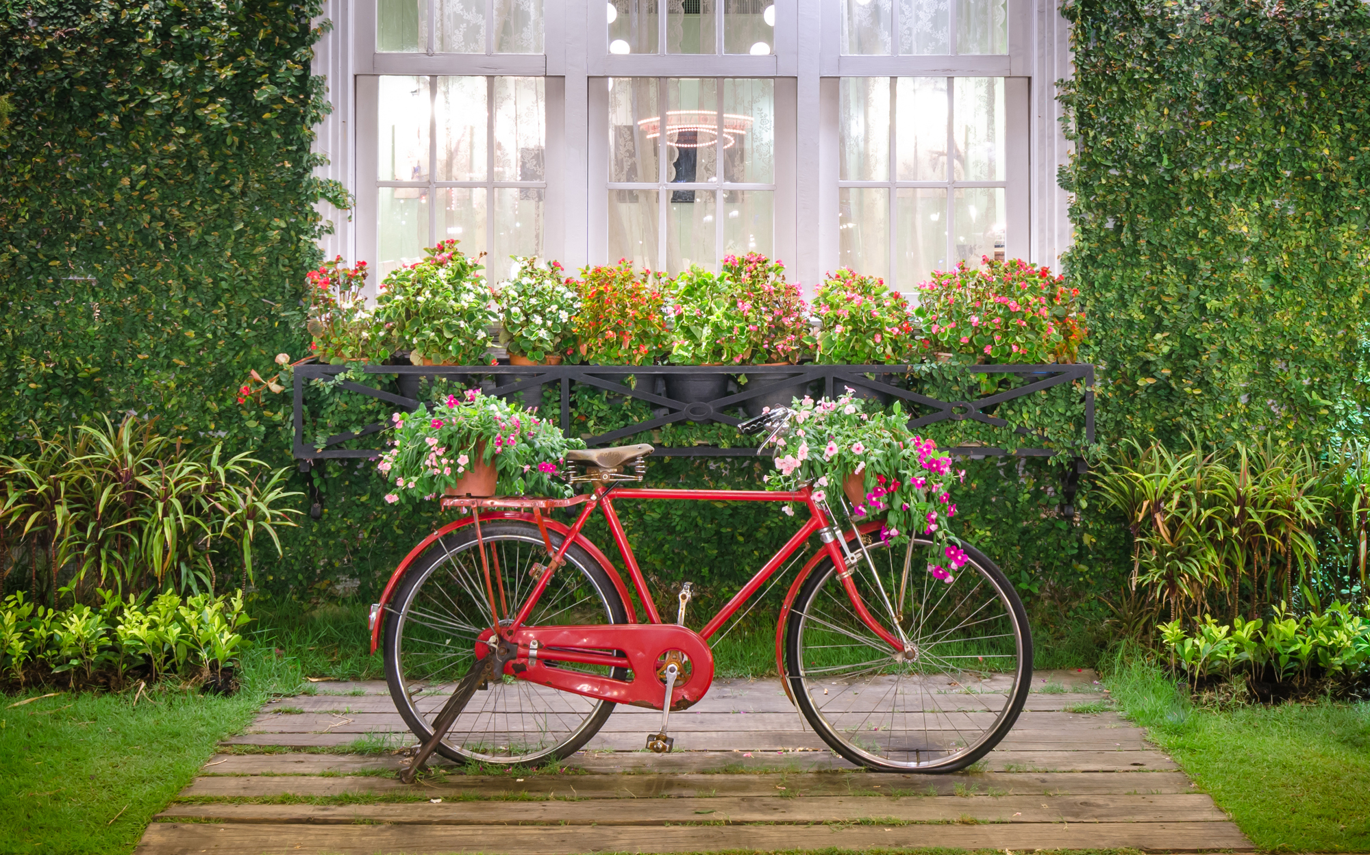 Велосипед в цветах зеленый. Велосипед с цветами. Велосипед в интерьере сада. Велосипед у забора. Композиции с велосипедом в саду.